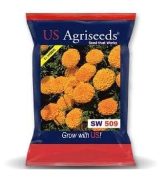 SW 509 MARIGOLD SEEDS