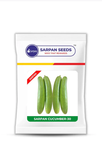 SARPAN HYBRID CUCUMBER - 30 SEEDS
