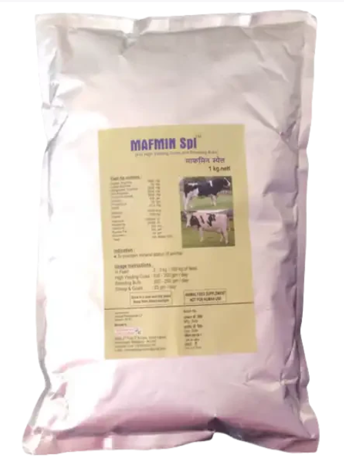 MEENAKSHI MAFMIN SPECIAL