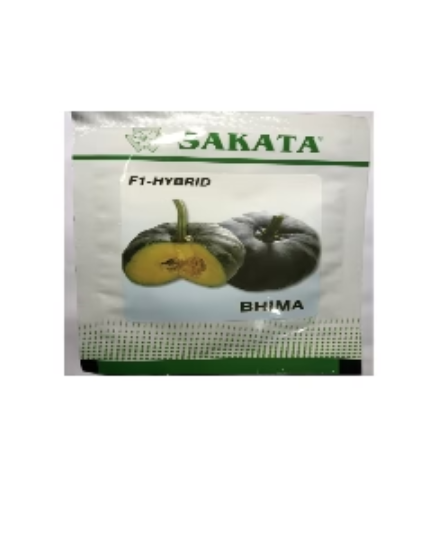 BHIMA PUMPKIN