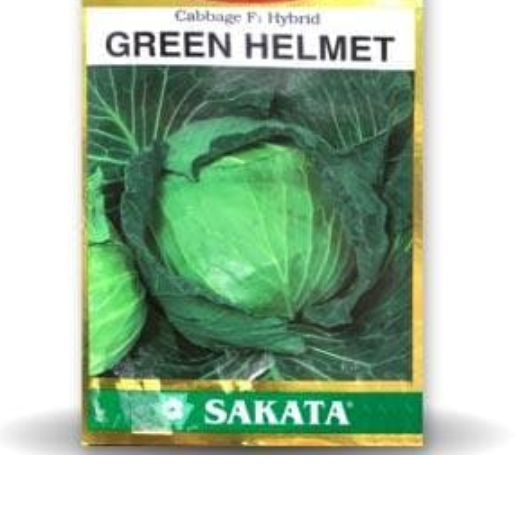 GREEN HELMET CABBAGE