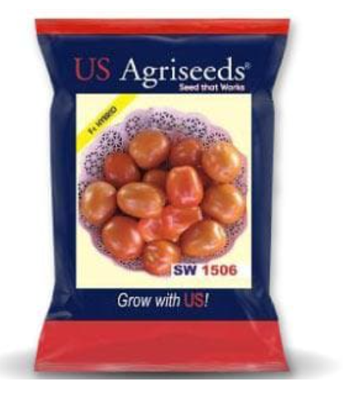 SW 1506 HYBRID OVAL TOMATO