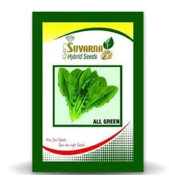 ALL GREEN PALAK