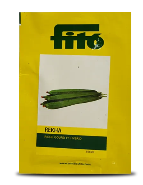 REKHA RIDGEGOURD