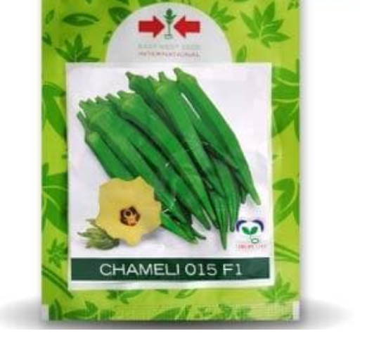 CHAMELI 015 F1 BHENDI (OKRA)