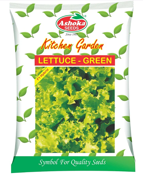 Green Lettuce Seeds – Fast Growing, Disease Resistant, Exotic Variety