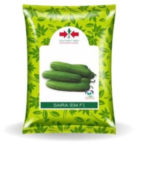 SAIRA 934 F1 CUCUMBER