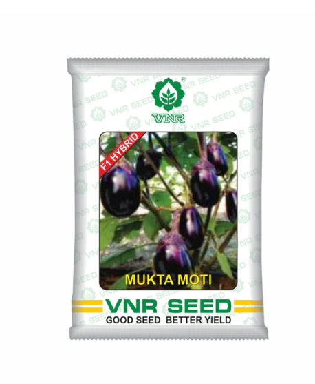 MuktaMoti F1 Hybrid Brinjal Seeds