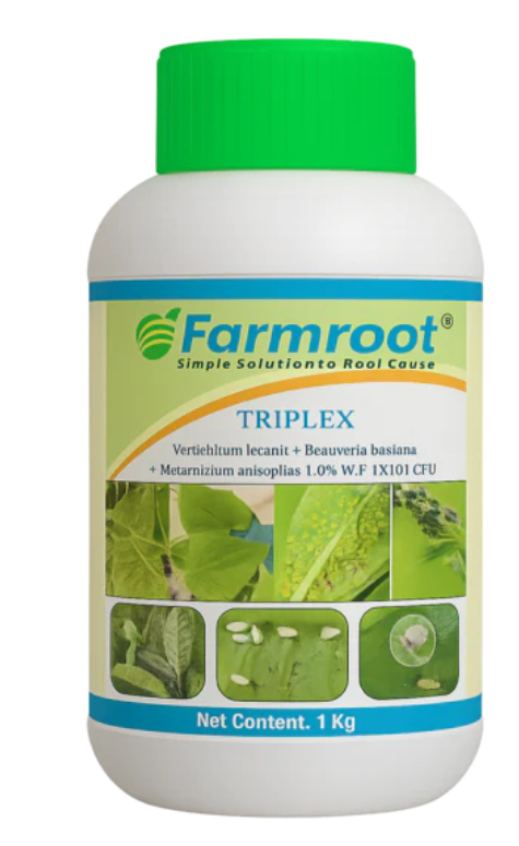 FARMROOT FARM TRIPLEX