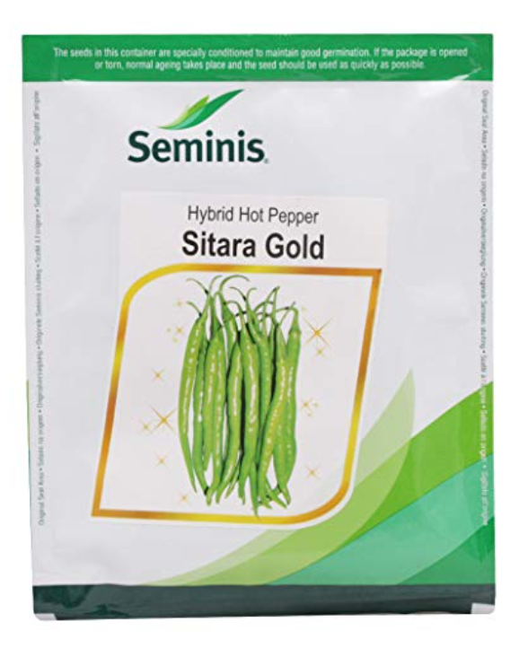 Sitara Gold Chilli Seeds