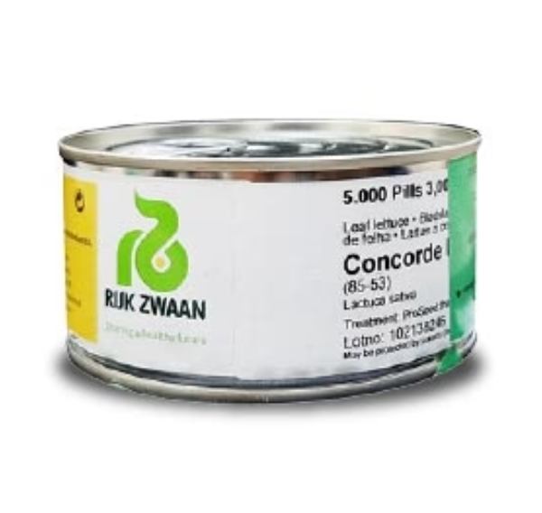 कॉनकॉर्ड आरजेड (85-53) लाल पत्तेदार सलाद