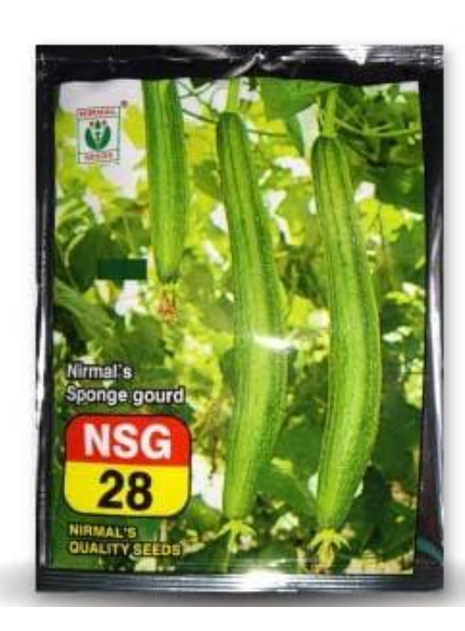 NSG-28 SPONGE GOURD