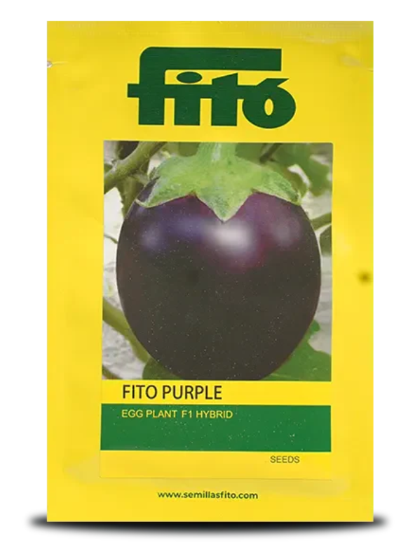 FITO PURPLE BRINJAL SEEDS