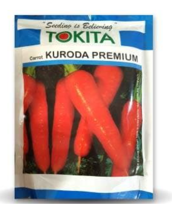 KURODA CARROT
