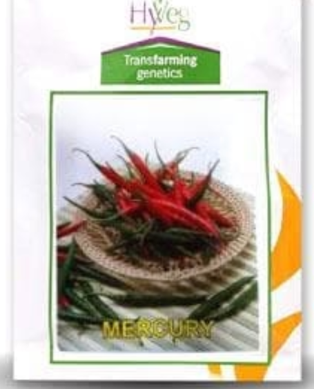 MERCURY CHILLI