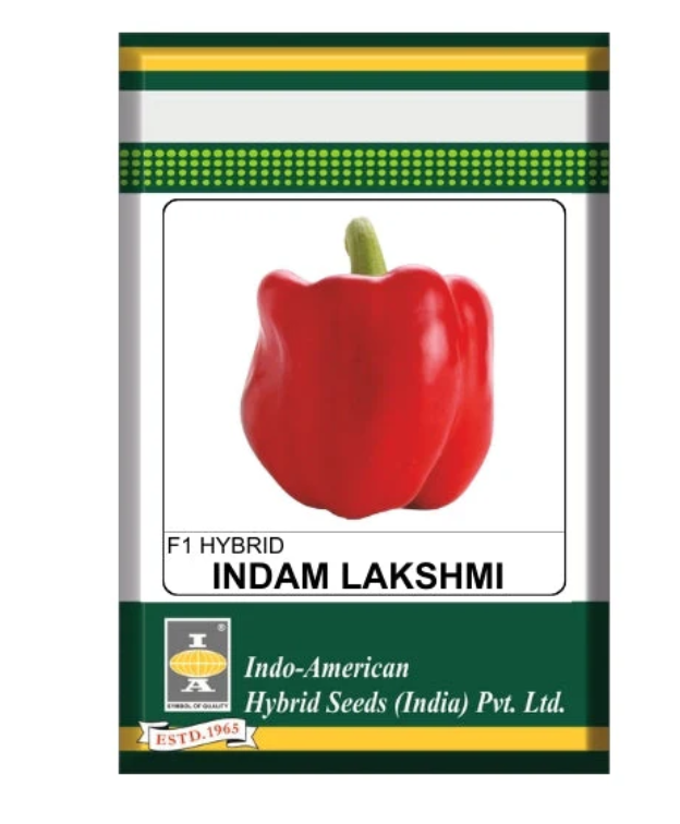 Indam Lakshmi Capsicum Seeds