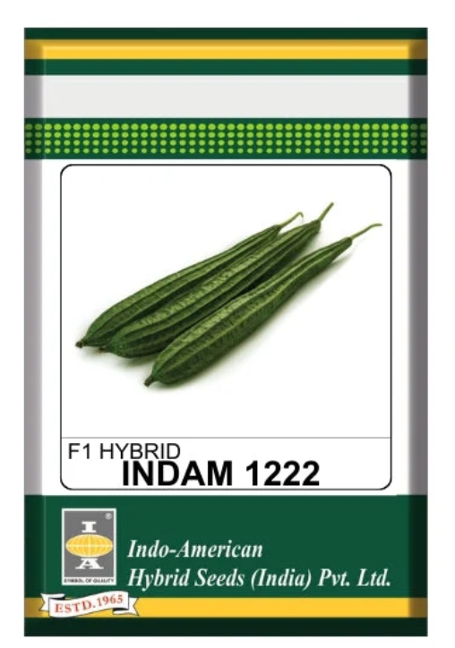 INDAM 1222 RIDGE GOURD
