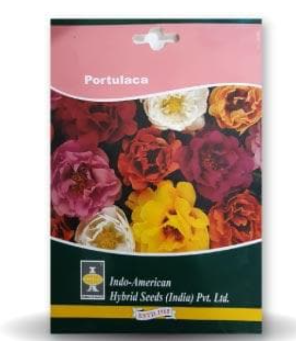Portulaca FLower Seeds