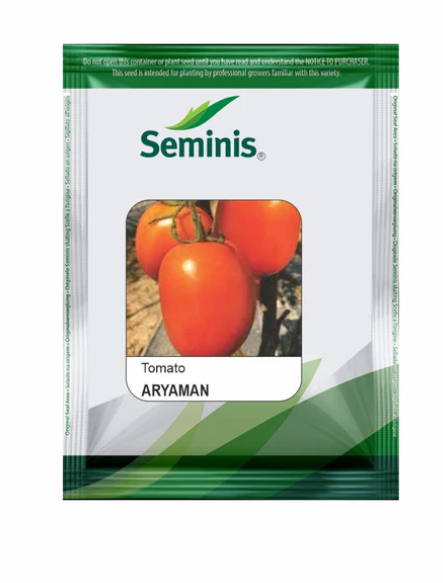 ARYAMAN TOMATO SEEDS (आर्यमन टमाटर )