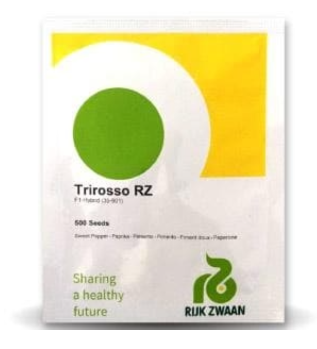 TRIROSSO RZ F1 (35-901) RED CAPSICUM