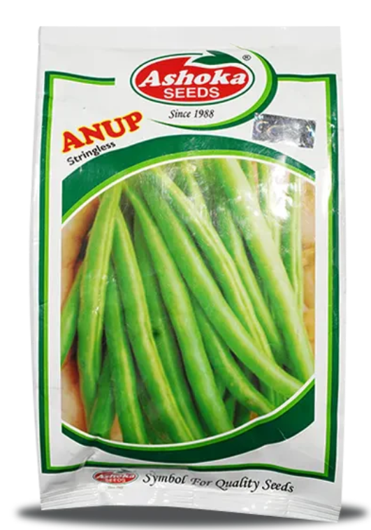 अनूप बीन्स (बुश बीन्स)