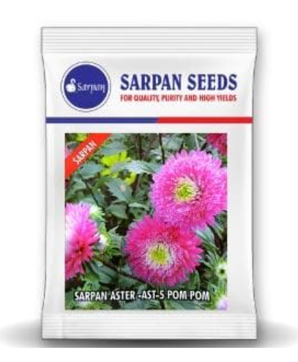 SARPAN HYBRID ASTER-AST-5 POM POM (SEEDS)