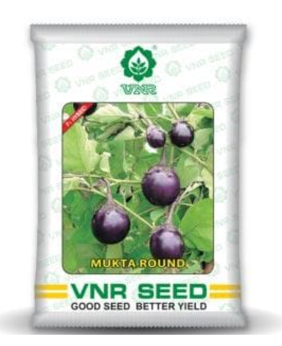 MUKTA ROUND BRINJAL