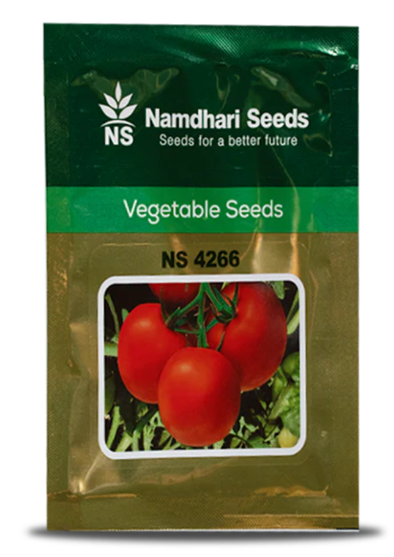 NS 4266 F1 Hybrid Tomato Seeds – Deep Red Fruits for Kharif & Rabi