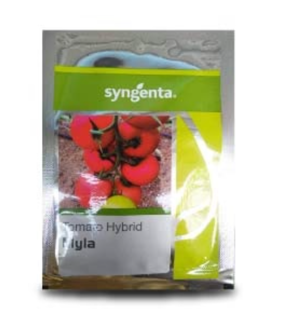MYLA TOMATO