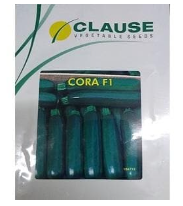 CORA F-1 GREEN ZUCCHINI