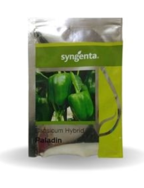 पलाडिन शिमला मिर्च