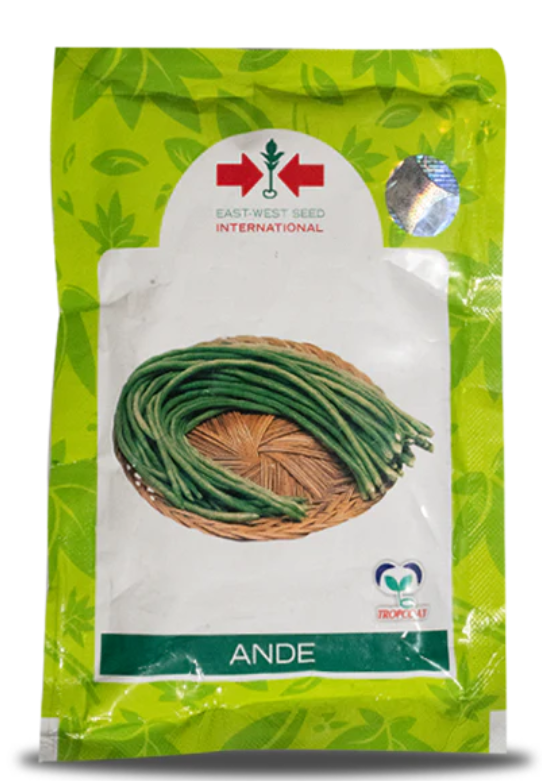 Ande Yard Long Beans Seeds – High Yield, Excellent Pod Quality