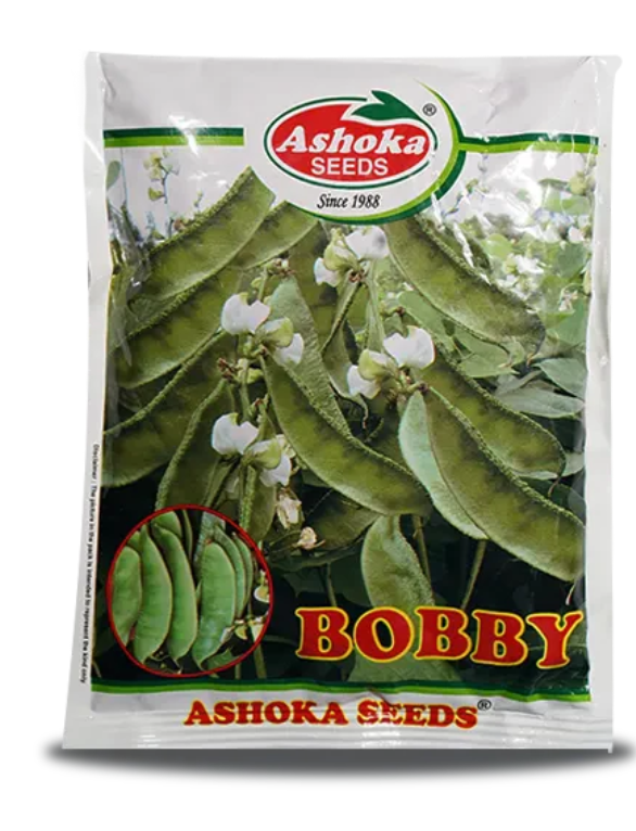 DOLICUS BOBBY BEANS