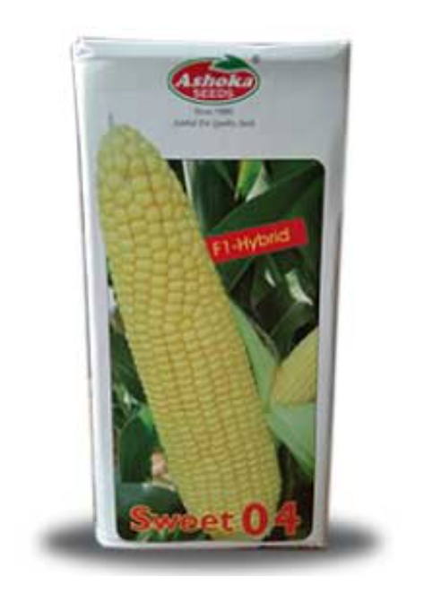 SWEET 04 SWEETCORN