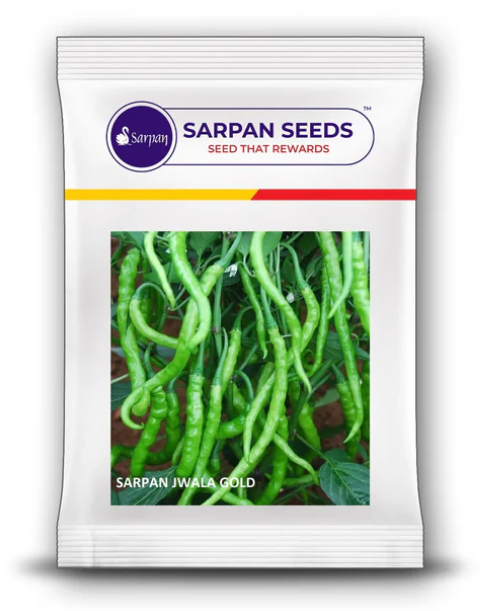 SARPAN JWALA GOLD CHILLI SEEDS