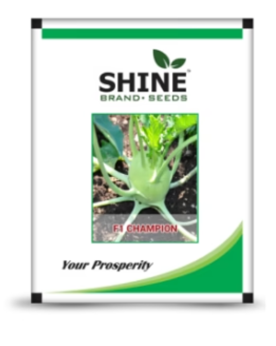 SHINE KNOL KHOL CHAMPION F1 SEEDS