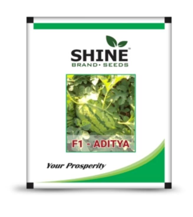 SHINE WATER MELON ADITYA F1 HYBRID SEEDS