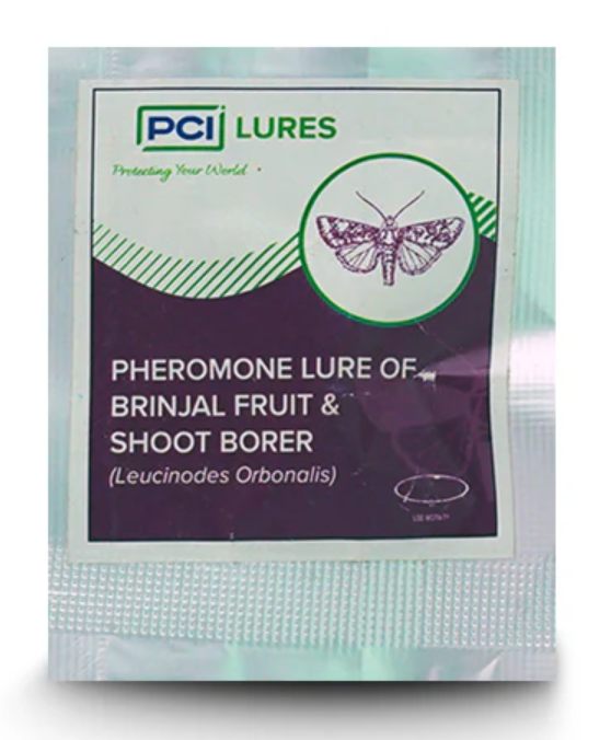 BRINJAL FRUIT & SHOOT BORER LURE/ Leucin Lure