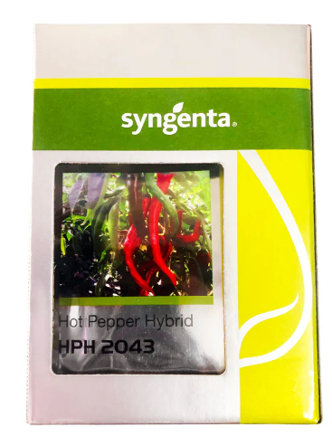 HPH 2043 Chilli Seeds