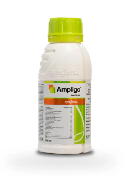 Ampligo Insecticide