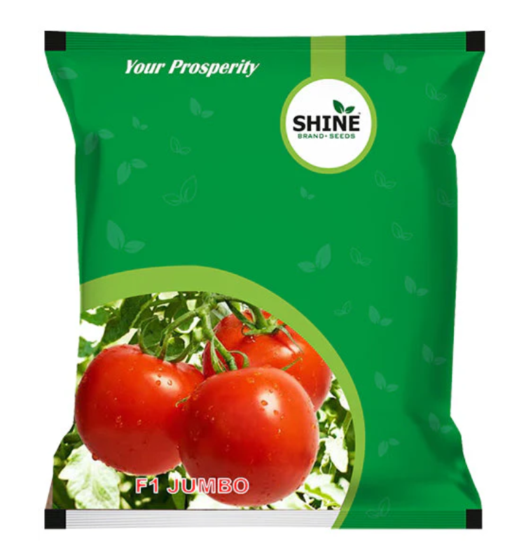 SHINE TOMATO JUMBO F1 HYBRID SEEDS