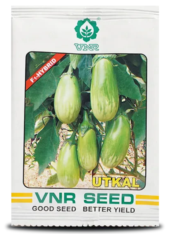 Utkal F1 Hybrid Brinjal Seeds