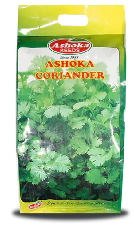 Late Bolting Coriander Seeds