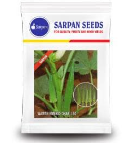 SARPAN F1 HYBRID BHINDI/OKRA SEEDS 180