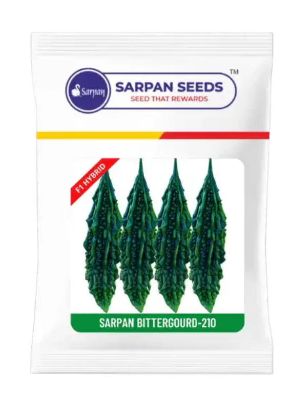 SARPAN HYBRID BITTER GOURD-210 (SEEDS)
