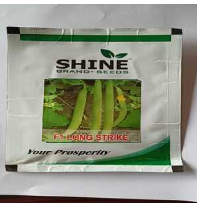 SHINE KAKRI (LONG MELON) F1 LONG STRIKE SEEDS