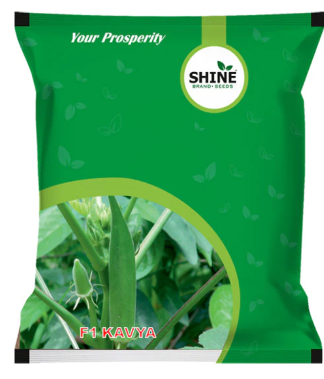 SHINE OKRA F1 KAVYA SEEDS