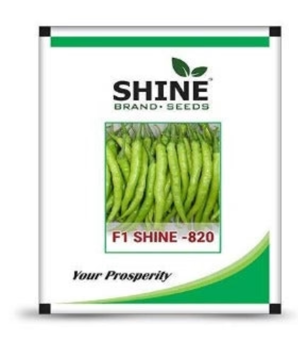 SHINE CHILLI SHINE 820 F1 HYBRID SEEDS