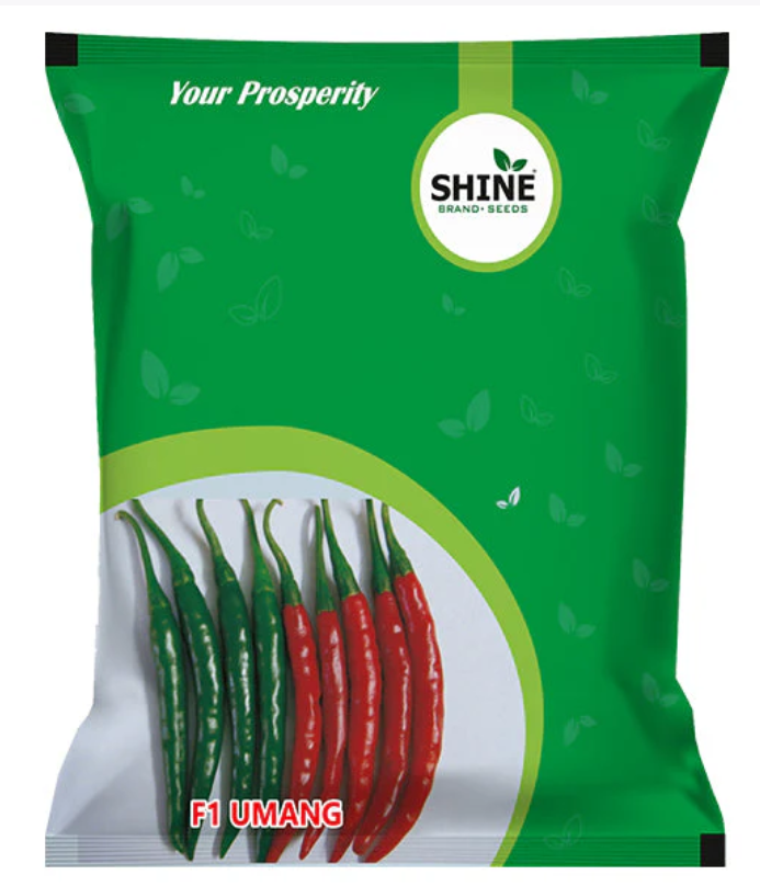 SHINE CHILLI UMANG F1 HYBRID SEEDS