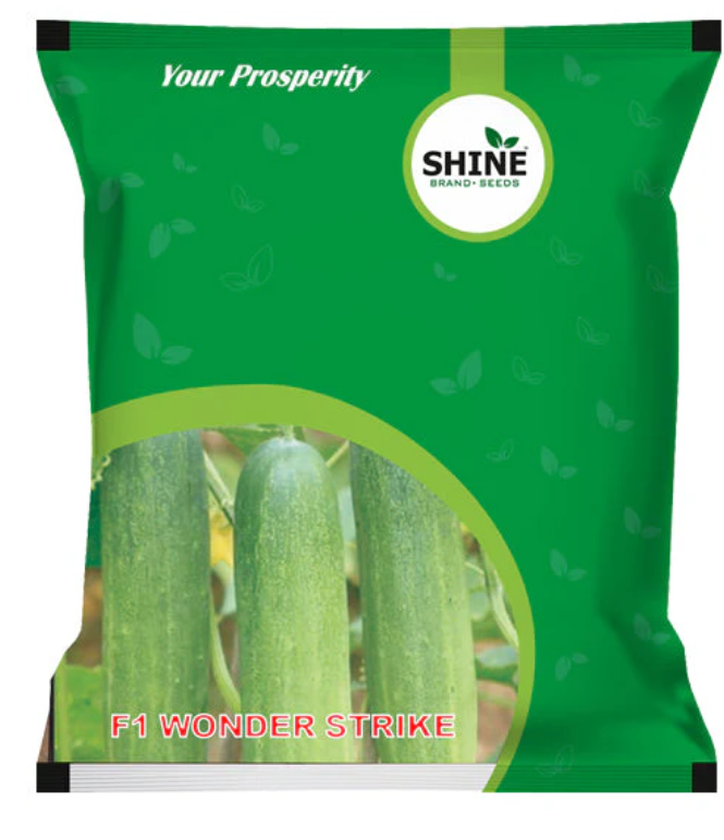 SHINE CUCUMBER WONDER STRIKE F1 HYBRID SEEDS